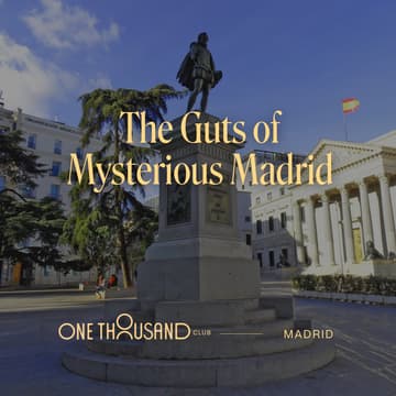 Cover Image for The Guts of Mysterious Madrid