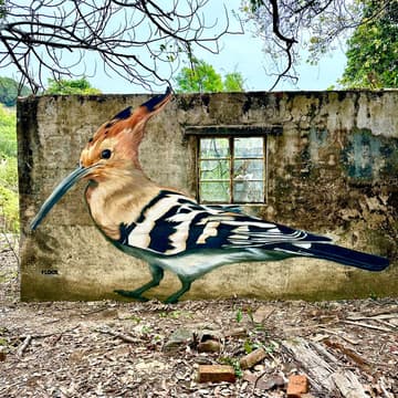 Walk Your Way: Flock Bird Mural Exploration supported by Bupa 的封面图片