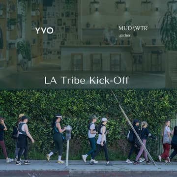 Cover Image for Kicking Off YVO LA