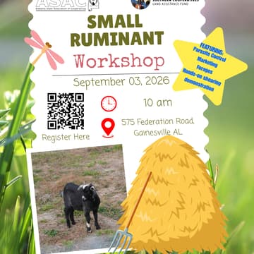 Cover Image for Ruminant Workshop