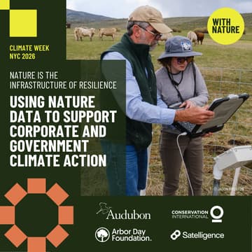 Cover Image for Nature Is the Infrastructure of Resilience: Using Nature Data to Support Corporate and Government Climate Action