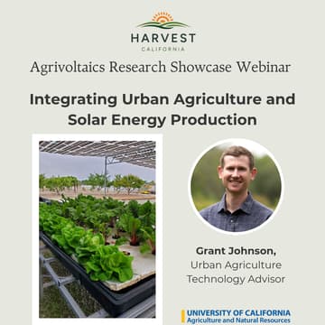 Cover Image for Agrivoltaics Research Showcase: Integrating urban agriculture and solar energy production