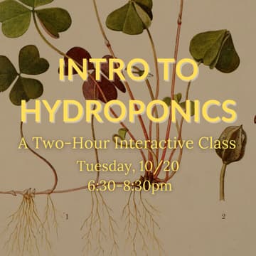 Cover Image for Intro to Hydroponics