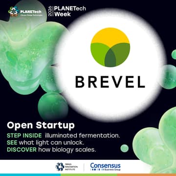 Cover Image for Open Startup | BREVEL