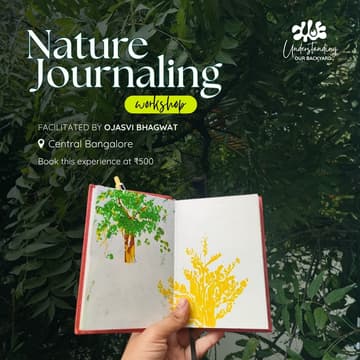 Cover Image for Nature Journaling Walk
