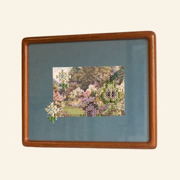 Cover Image for Cross Stitch Photographs