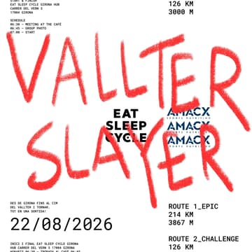 Cover Image for Vallter Slayer