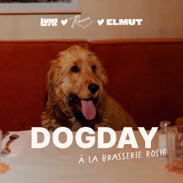 Cover Image for Dog day