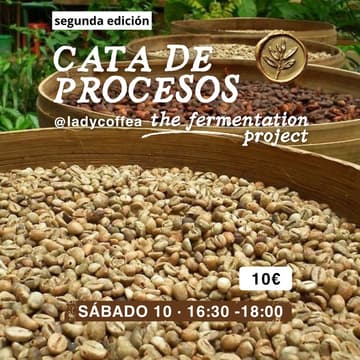Cover Image for Cata procesos - the fermentation project