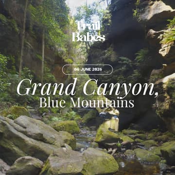 Cover Image for Grand Canyon Track, Blue Mountains