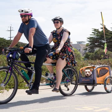 Cover Image for Volunteer: Dog on' Bike Ride (Ride Marshall)