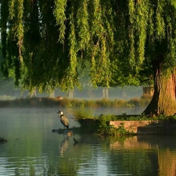 Cover Image for 🌳Offline Women Explore the Royal Parks: Bushy Park
