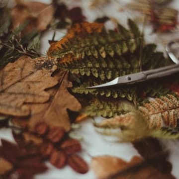 Cover Image for Creative Table – Wir gestalten herbstliche Dekoration