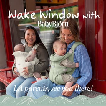 Cover Image for Wake Window with BabyBjörn