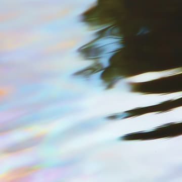 Cover Image for Reflect & Connect: Post-EAG integration session