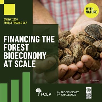 Cover Image for Financing the Forest Bioeconomy at Scale