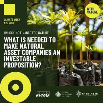 Cover Image for Unlocking Finance for Nature: What is Needed to Make Natural Asset Companies an Investable Proposition?