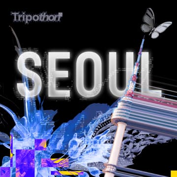 Cover Image for TRIPOTHON S1 서울 — 더 많은 세계를 만들다