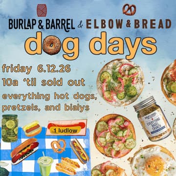 Cover Image for Burlap & Barrel x Elbow Bread Everything Bagel Crunch Collaboration