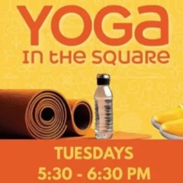 Cover Image for Outdoor Yoga in PPG Plaza