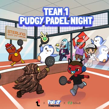 Cover Image for Team1 x Pudgy Padel Night