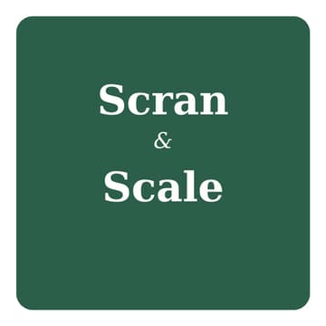 Cover Image for Scran & Scale