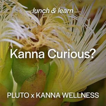 Cover Image for Kanna Curious? An Introduction to South Africa’s Connection Plant