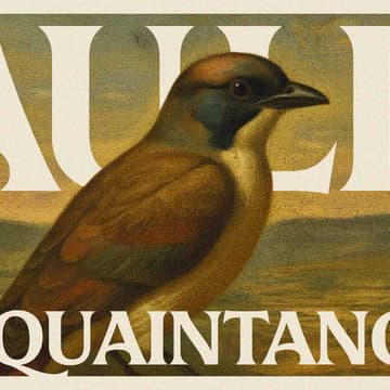 Cover Image for Auld Acquaintances