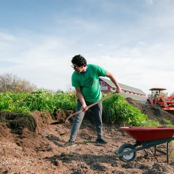 Cover Image for Field Work