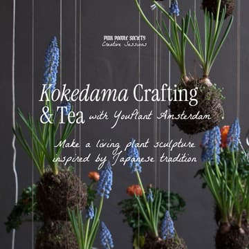 Cover Image for Amsterdam | The Art of Kokedama