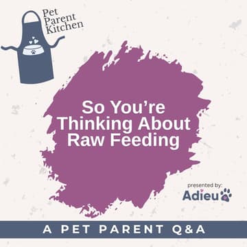 Cover Image for So You’re Thinking About Raw Feeding: A Pet Parent Q&A