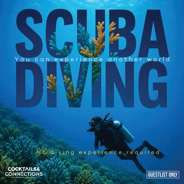 Cover Image for 🌊 Rock Island Diving Experience ✨