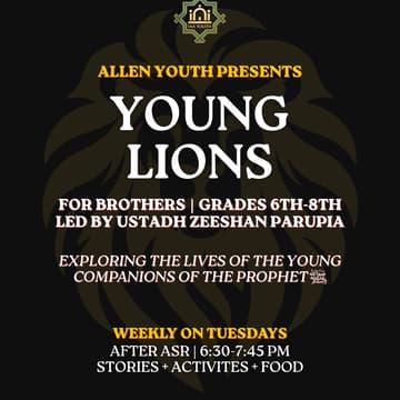 Cover Image for Young Lions