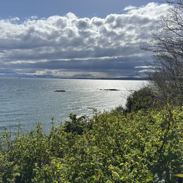 Cover Image for Clover Point to Ogden Point Shoreline