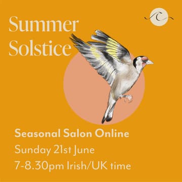 Cover Image for Summer Solstice Salon