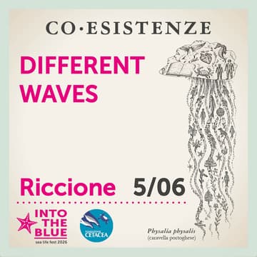 Cover Image for DIFFERENT WAVES performance