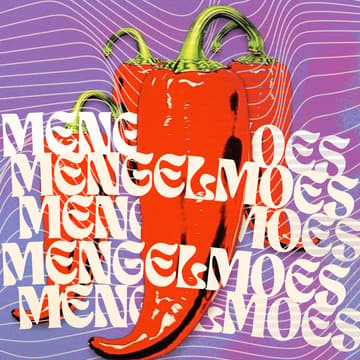 Cover Image for Mengelmoes 🌶️