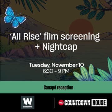 Cover Image for ‘All Rise’ film screening + Nightcap