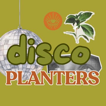 Cover Image for diy: disco ball planters | bernal heights, sf