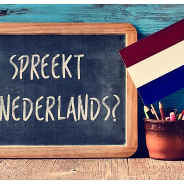 Cover Image for Dutch School Waiting List
