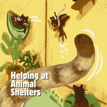 Cover Image for It's Time to Care (LTI ÜN x RK) – Volunteer opportunity