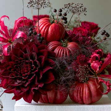 Cover Image for CB Studio / Edible Floral Workshop with Veronika Fink