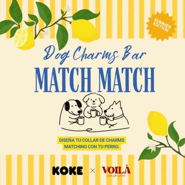 Cover Image for Create matching charms for you & your dog