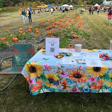 Cover Image for Morning Tabling at the Franciscan Monastery Guild Harvest Festival