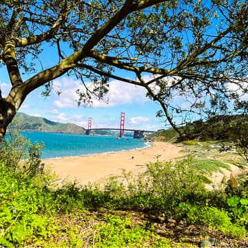 Cover Image for Three Beaches