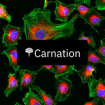 Cover Image for Carnation Lunch & Learn: Microscopy Image Analysis for Early Discovery