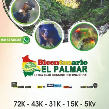Cover Image for El Palmar Trail