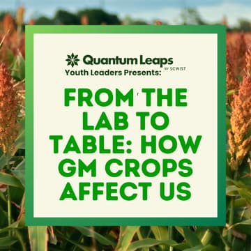 Cover Image for From the Lab to Table: How GM Crops Affect Us