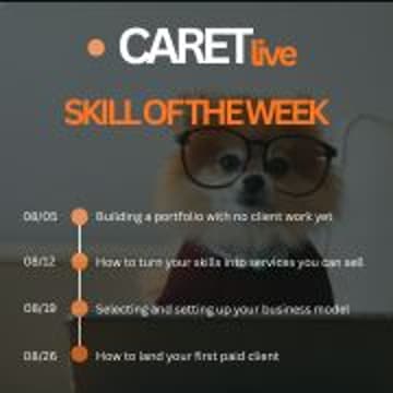 Cover Image for Caret Skill of The Week: Launch Your Portfolio Career (4 of 4)