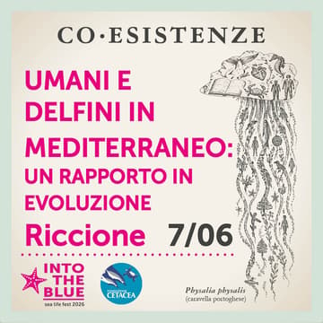 Cover Image for Umani e delfini in Mediterraneo: un rapporto in evoluzione